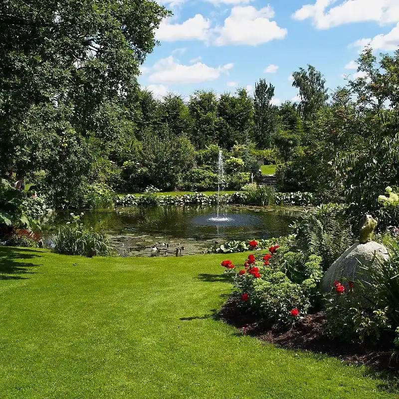 Kúpeľné jazierka Návrh Výstavba Ekologické bazény Rybníky - IMG 03