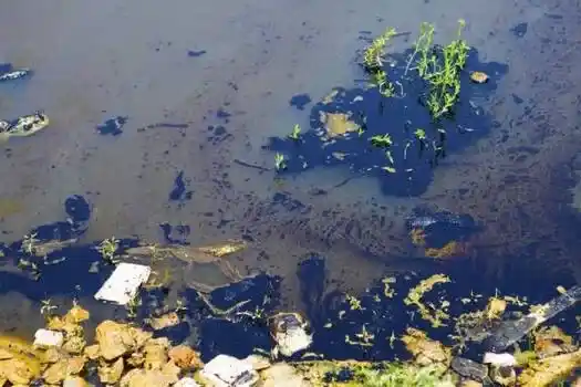 Návrh kúpeľných jazierok Výstavba - Bioremediácia vody