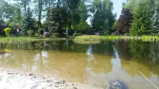 Dizajn kúpeľných jazierok - Dekoratívne jazierka