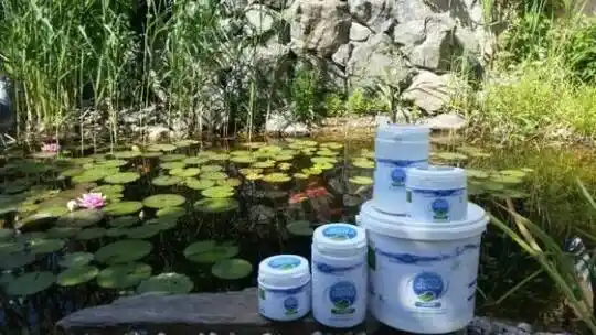 Návrh kúpeľných jazierok - Prípravy na jazierka