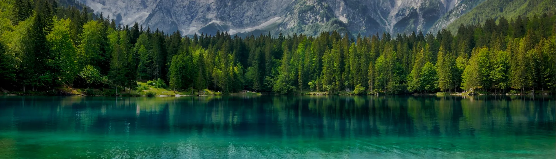 Návrh kúpeľných jazierok - snímka 03