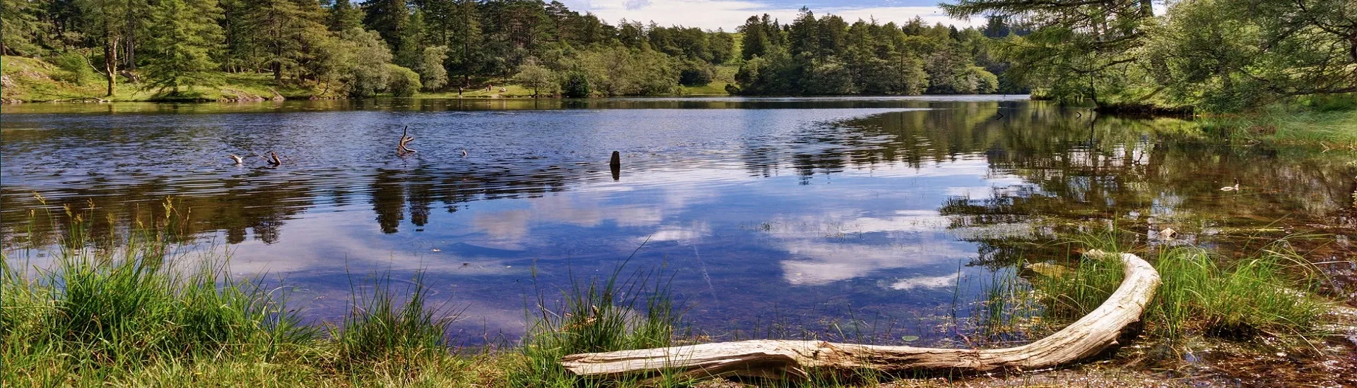 Návrh kúpeľných jazierok – konštrukcia – snímka 02